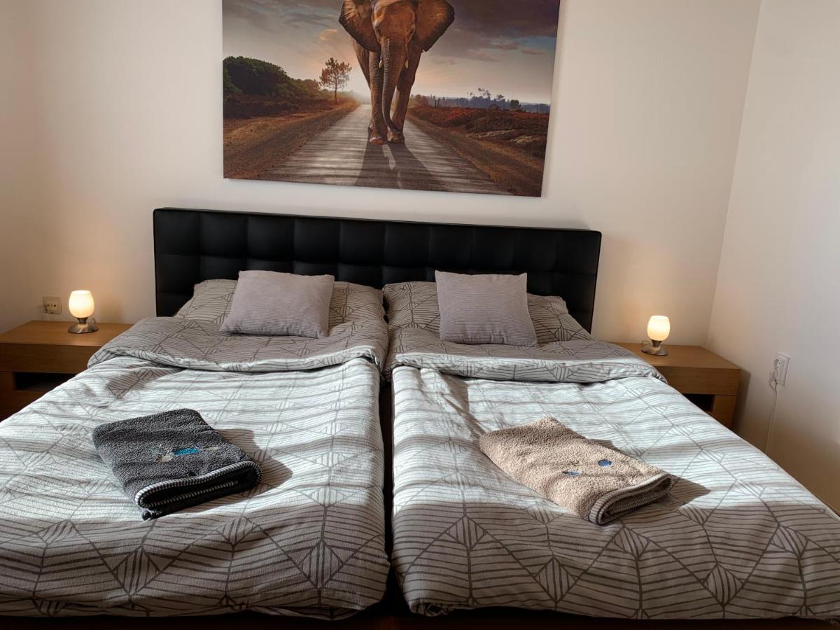 Apartman Tinasol Mosonmagyaróvár المظهر الخارجي الصورة